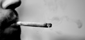 Uzależnienie dotyczące marihuany w porównaniu z innymi narkotykami, HolenderskiSkun, Holenderski Skun