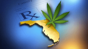 Sposób w jaki Floryda egzekwować będzie prawo do medycznej marihuany, HolenderskiSkun, Holenderski Skun