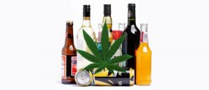 Czy marihuana może leczyć kac alkoholowy?, HolenderskiSkun, Holenderski Skun