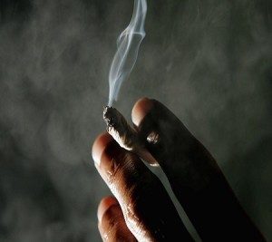 Marihuana to brama do ciężkich narkotyków, HolenderskiSkun, Holenderski Skun