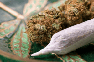 Czy marihuana może leczyć raka?, HolenderskiSkun, Holenderski Skun