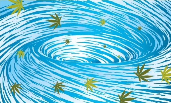 Spłukiwanie roślin cannabis wodą, HolenderskiSkun, Holenderski Skun