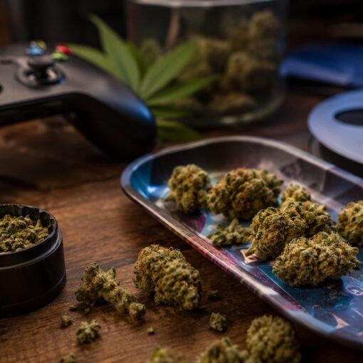 Innowacje w swiecie cannabis
