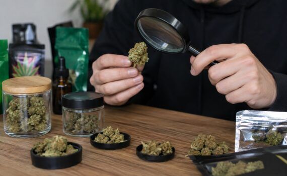 Jak rozpoznac slabej jakosci thc