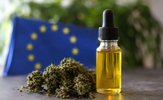 Legalność thc w europie