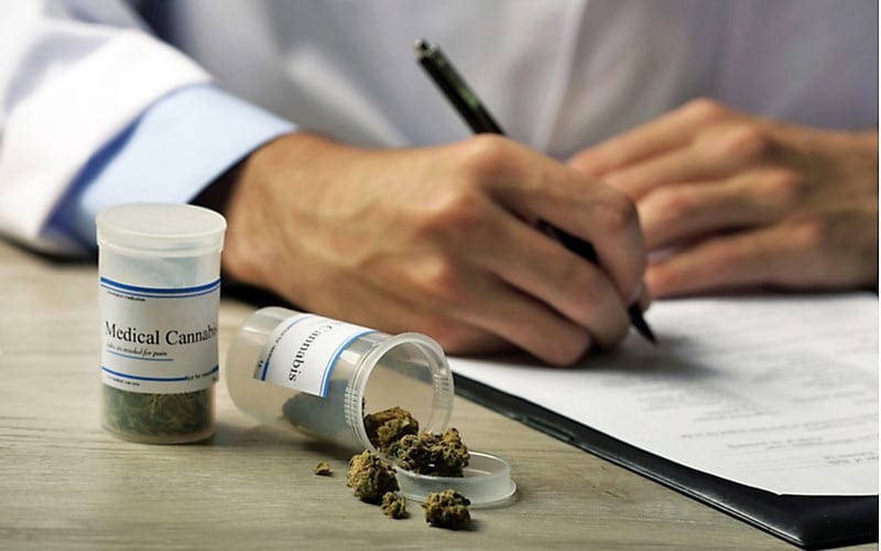 Liban Legalizuje Medyczną Marihuanę, HolenderskiSkun, Holenderski Skun