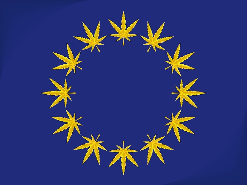 Co Jest Nie Tak z Rynkiem Cannabis w UE?, HolenderskiSkun, Holenderski Skun