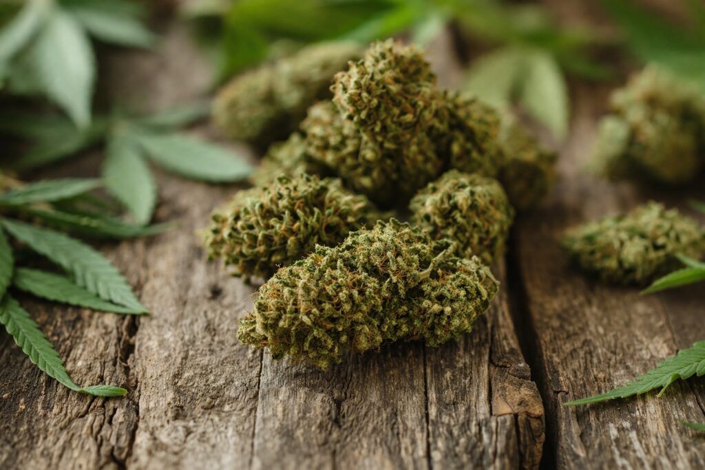 Topowe odmiany marihuany kush